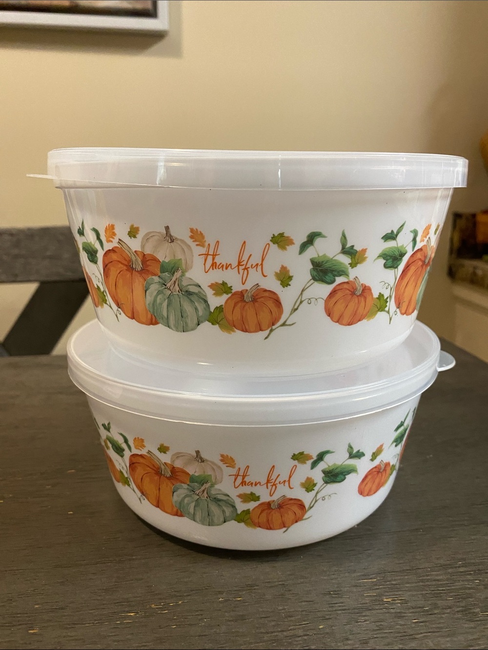 Thankful Plastic Container